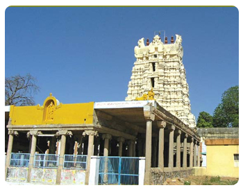 Krishnapuram Vishnu Temple