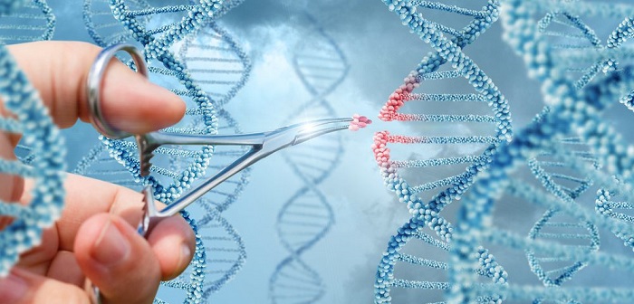 Hand Inserts A Molecule Into DNA Concept Design.