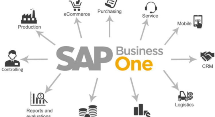 SAP For Small Business